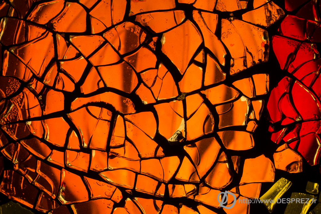 2014-02-24-DSC-01334