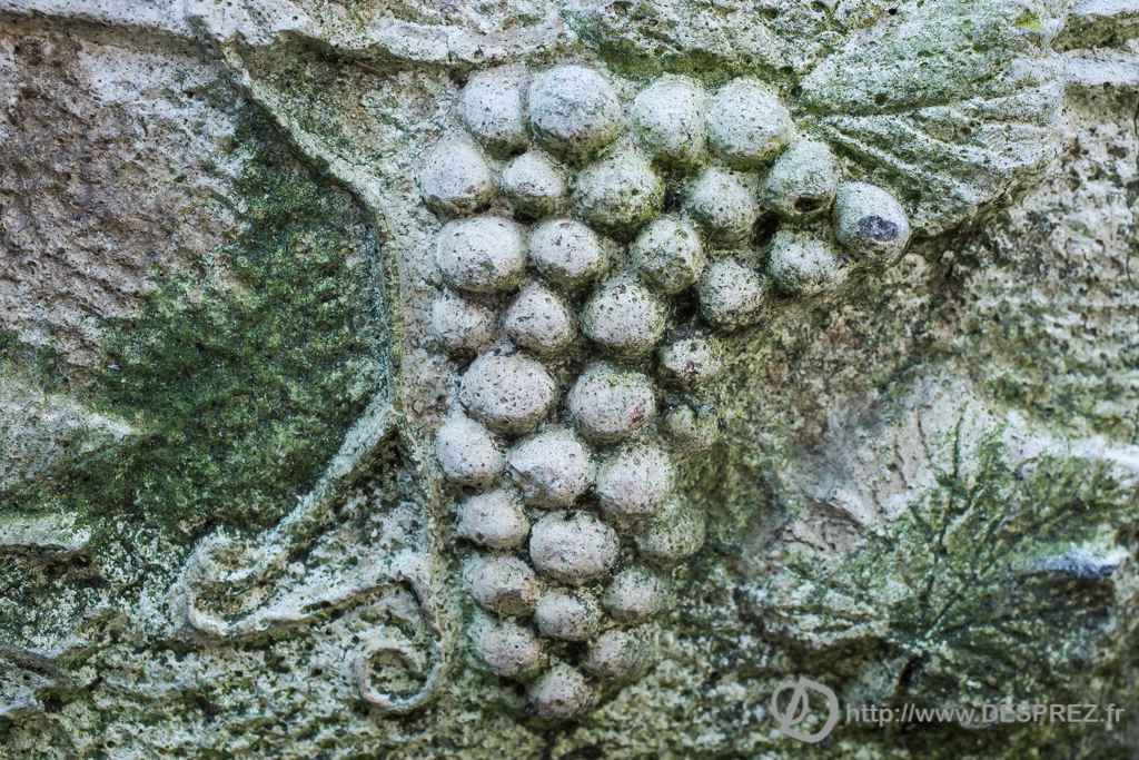 2014-02-24-DSC-01371