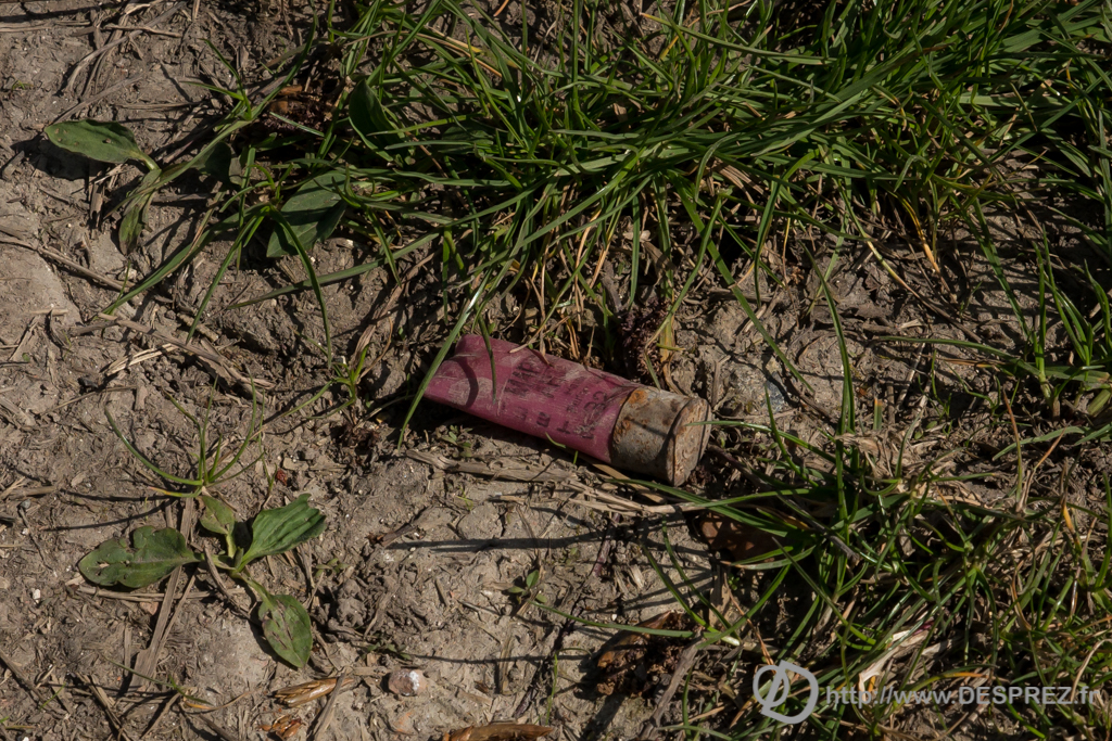 2014-02-24-DSC-01434