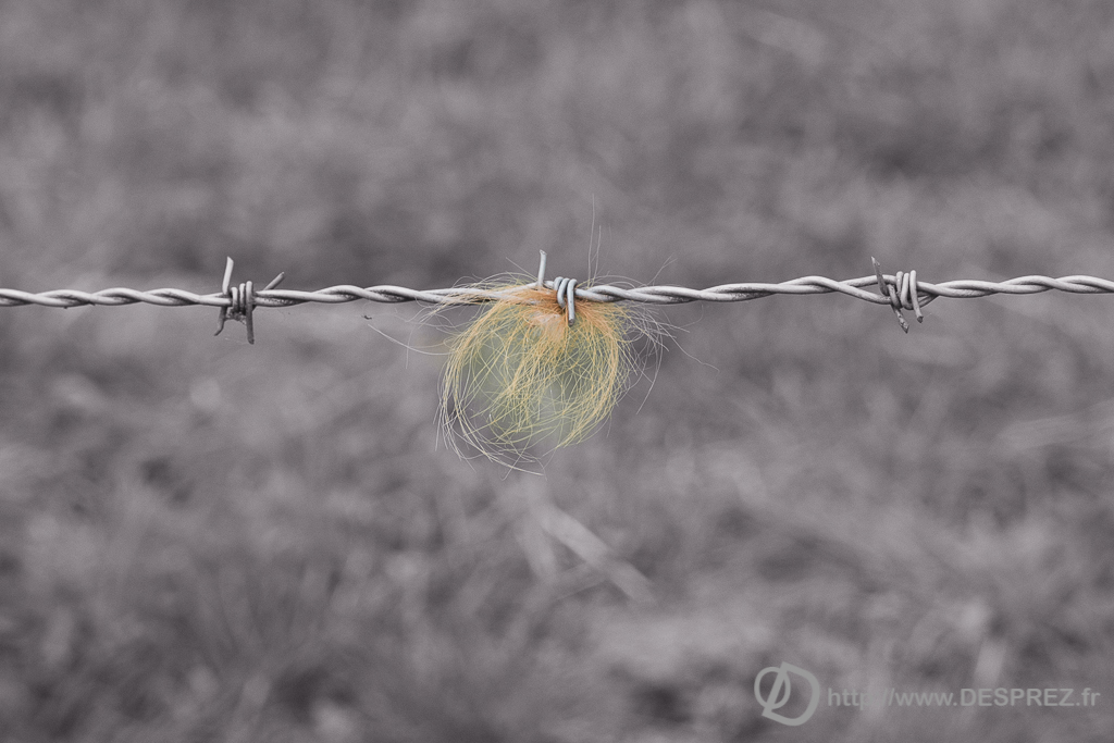 2014-02-24-DSC-02303