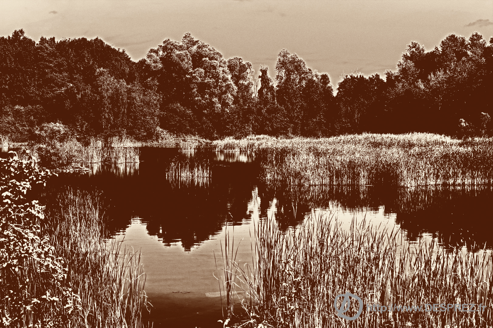 DSC08072-Modifier