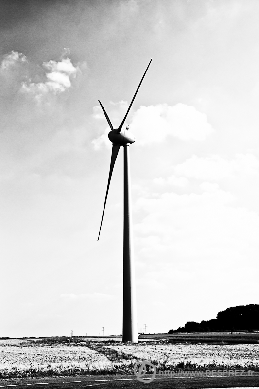 DSC00728-Modifier-2