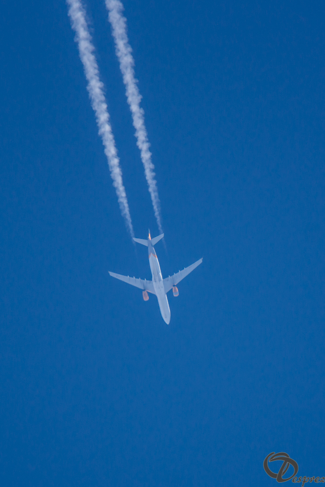 2019-avr.-20-DSC05702