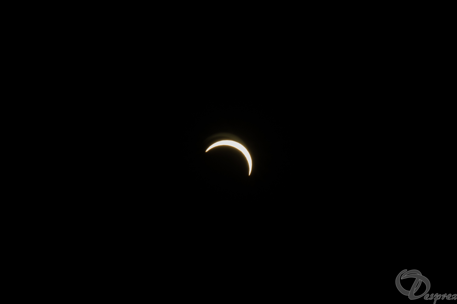 12082026-DSC01335