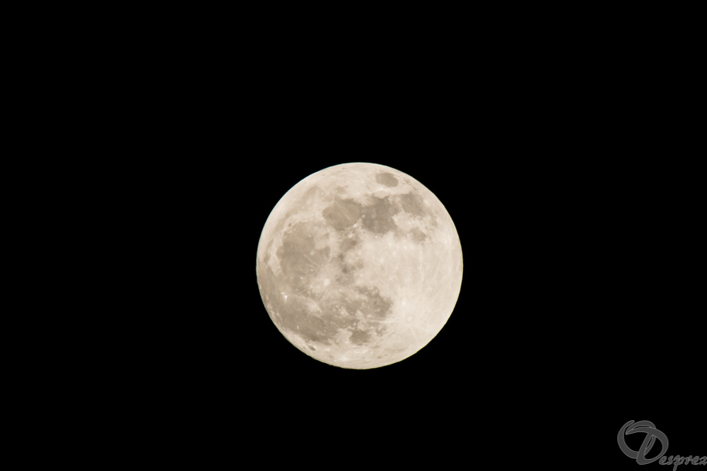 2019-janv.-20-DSC07313