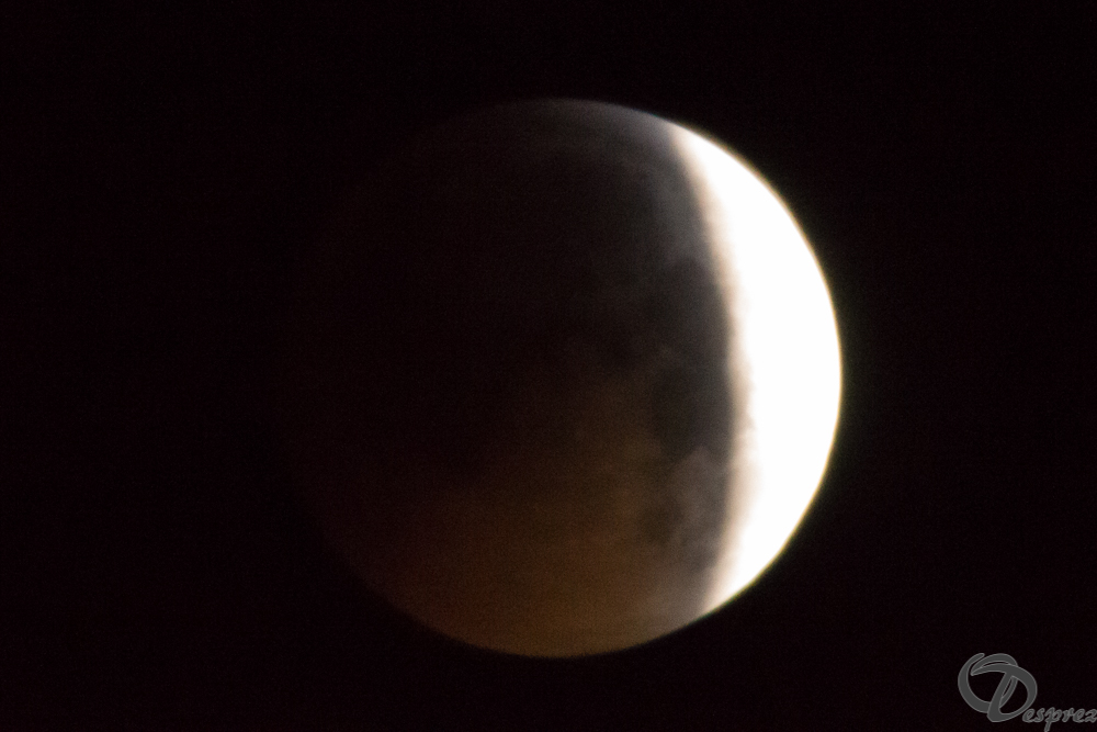 2019-janv.-21-DSC07317