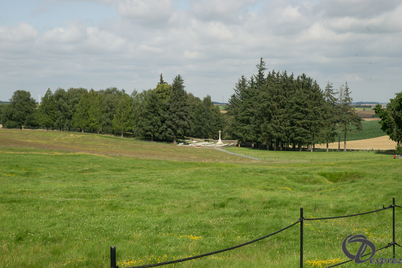 DSC08834
