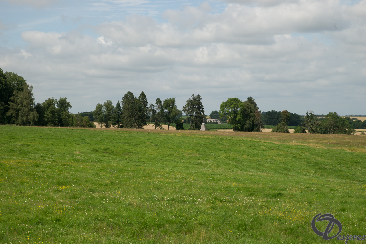 DSC08835