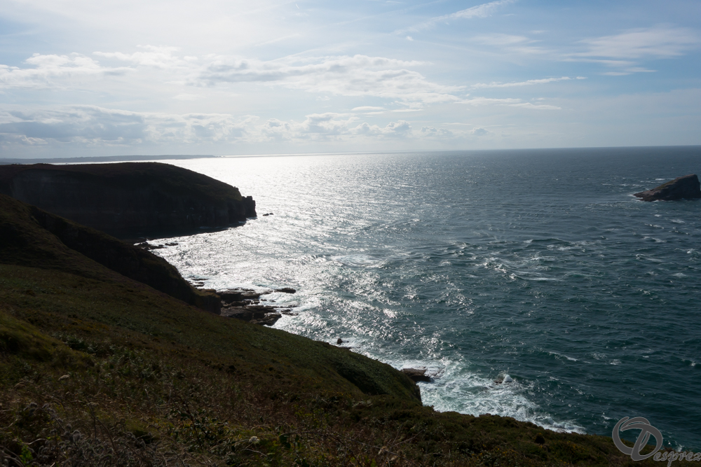 2019-aout-15-DSC03016