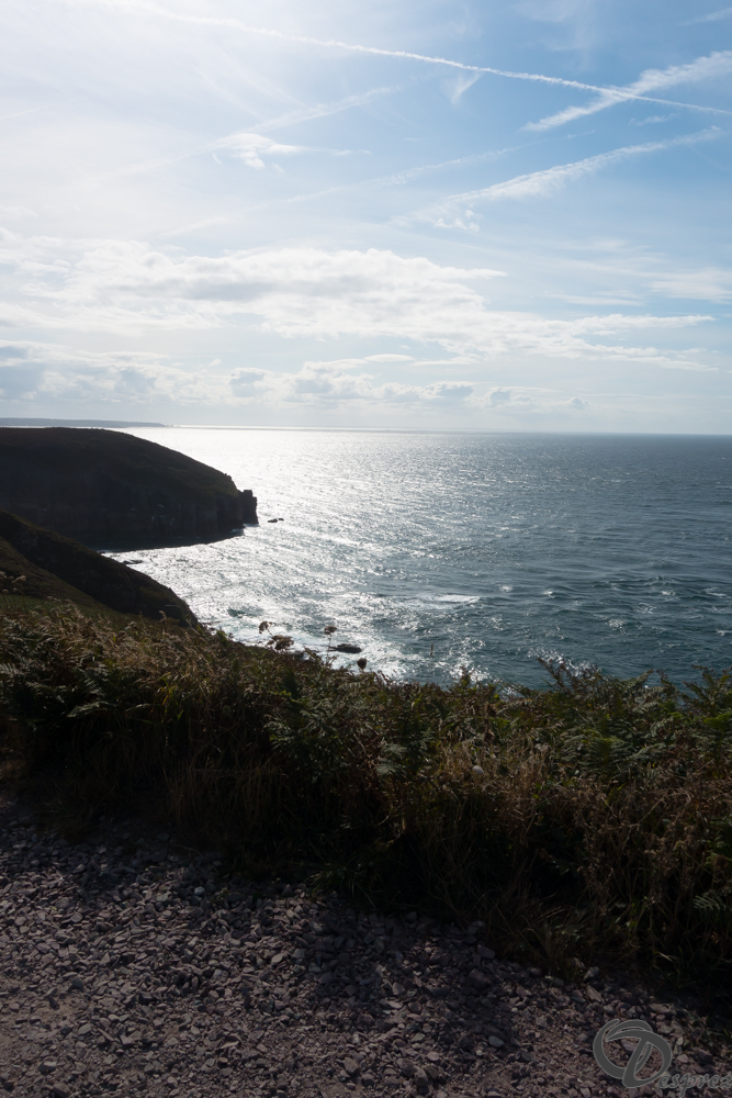 2019-aout-15-DSC03022