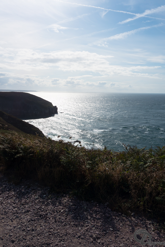 2019-aout-15-DSC03023