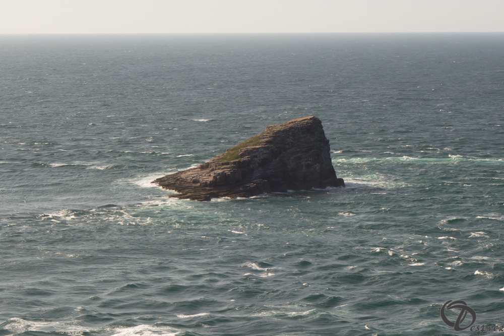 2019-aout-15-DSC03025