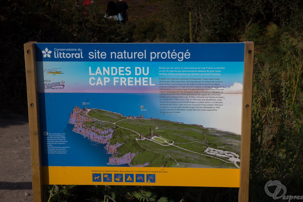 2019-aout-15-DSC08239