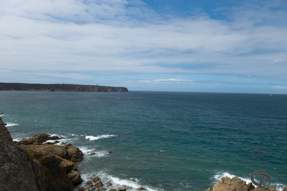 2019-aout-15-DSC02983