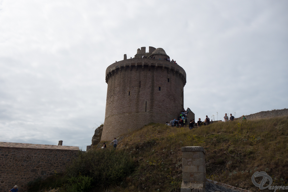 2019-aout-15-DSC02986