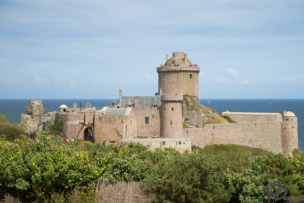 2019-aout-15-DSC08157