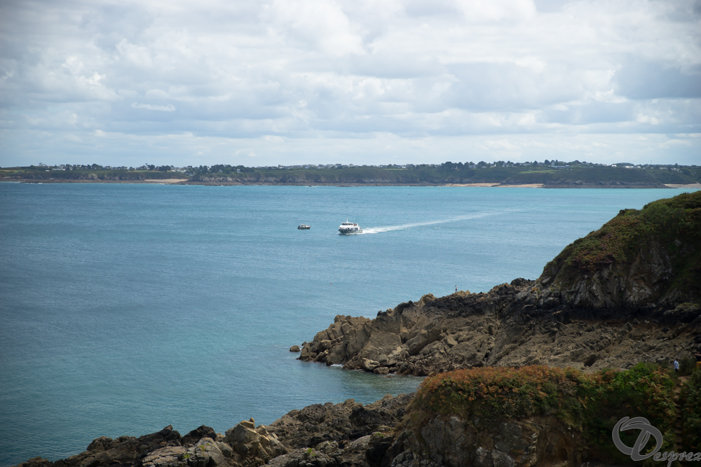 2019-aout-15-DSC08161