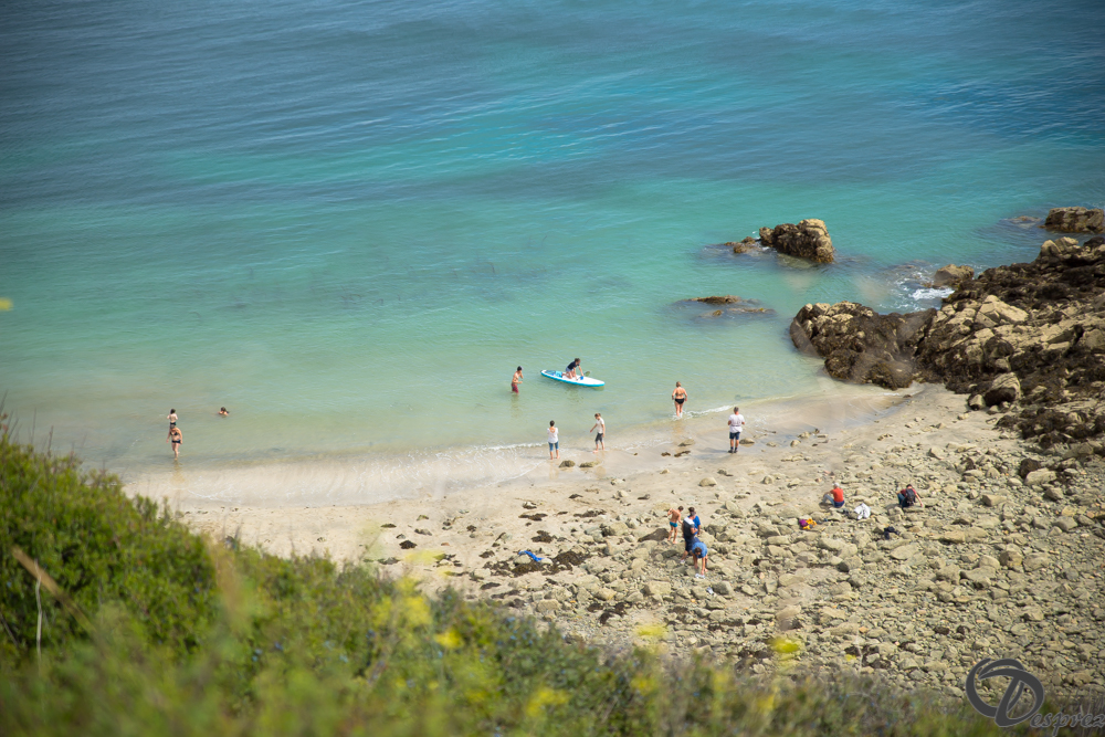 2019-aout-15-DSC08162