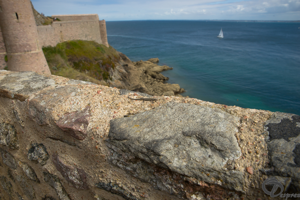 2019-aout-15-DSC08171