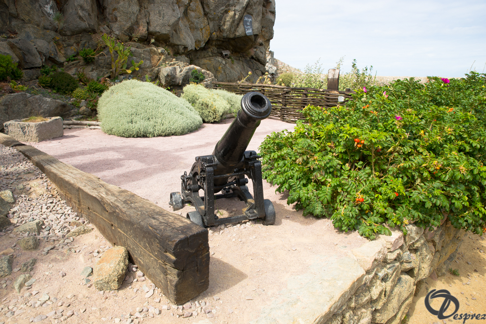 2019-aout-15-DSC08175