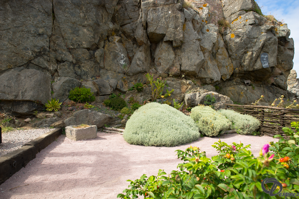 2019-aout-15-DSC08176