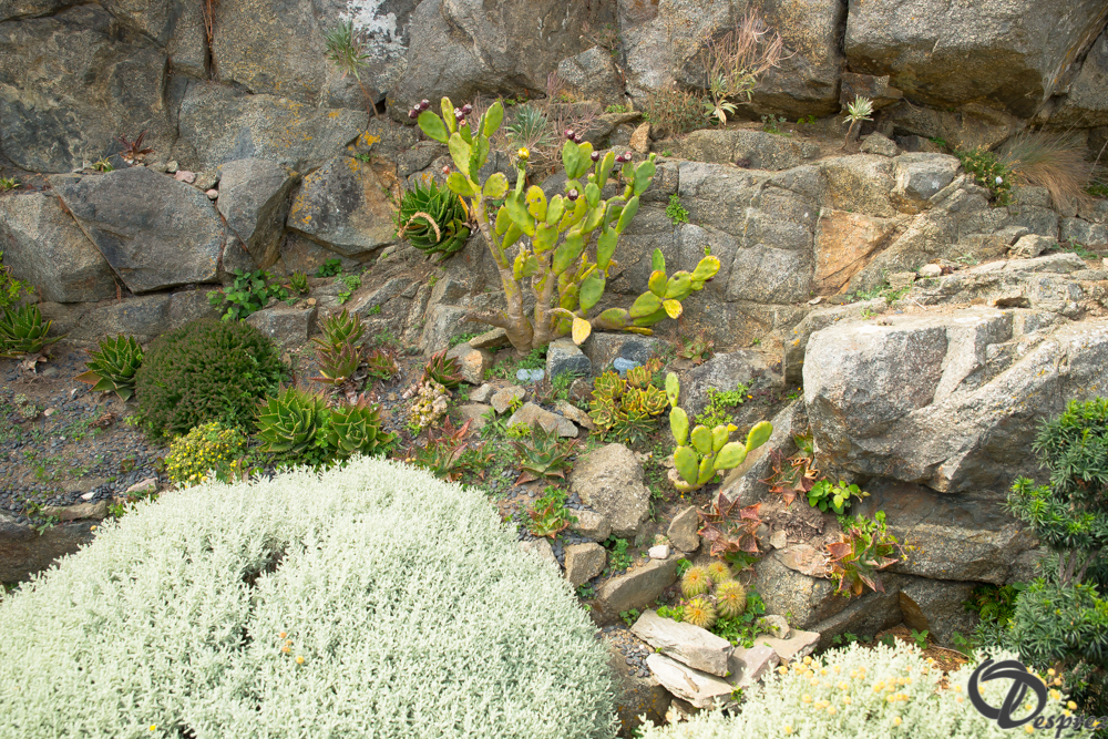 2019-aout-15-DSC08179