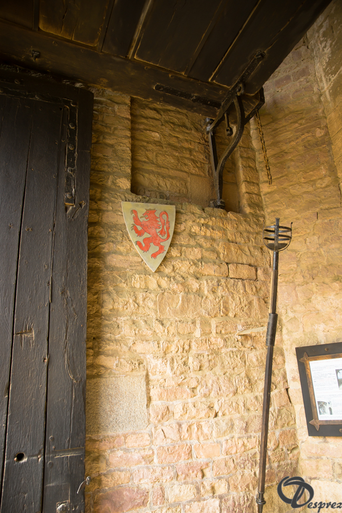 2019-aout-15-DSC08185