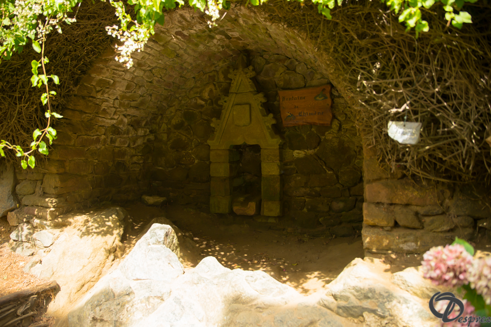 2019-aout-15-DSC08186