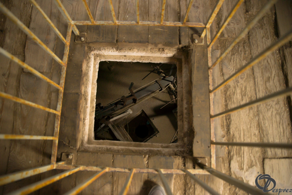 2019-aout-15-DSC08197