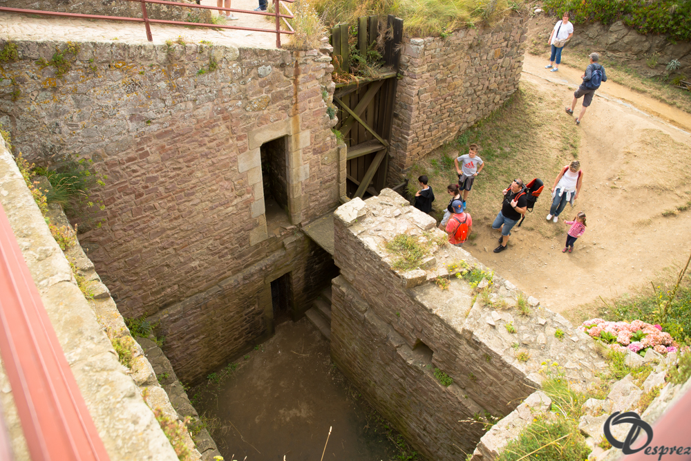 2019-aout-15-DSC08199