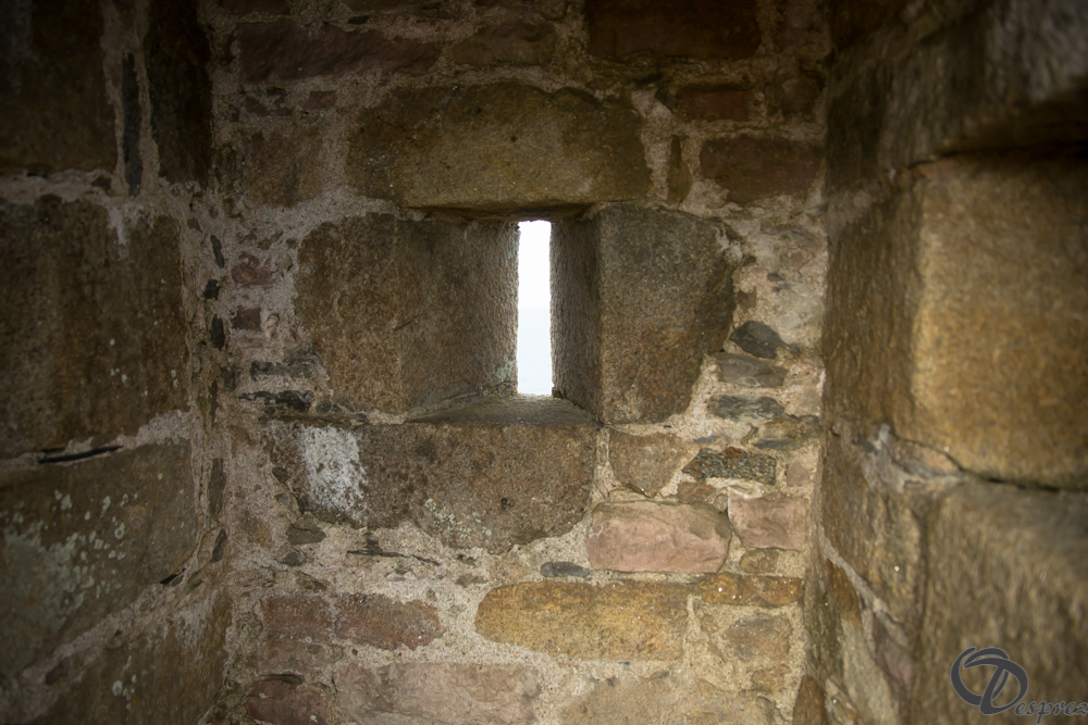 2019-aout-15-DSC08200