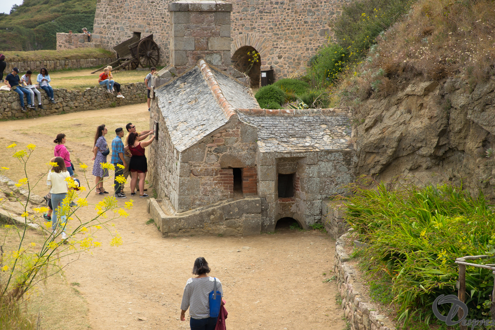 2019-aout-15-DSC08203