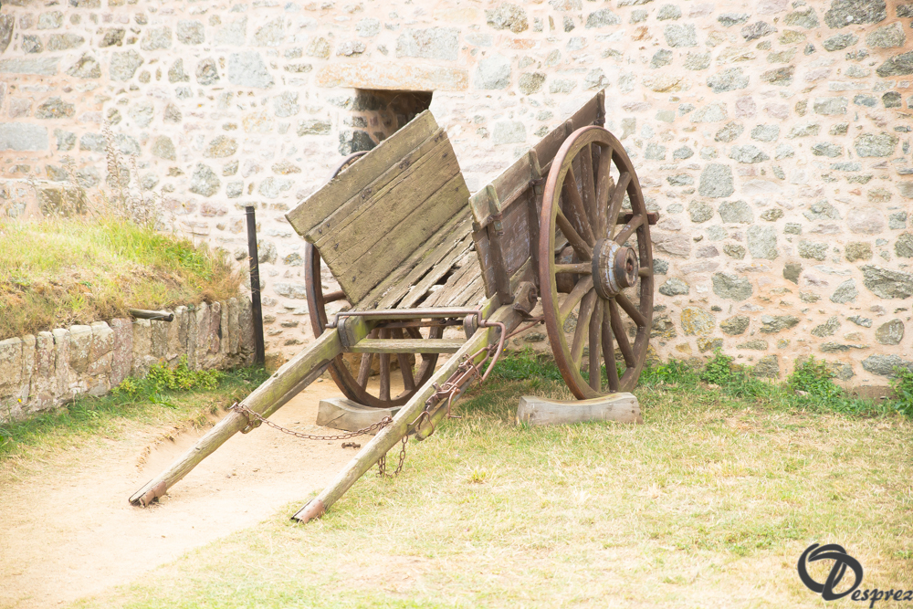 2019-aout-15-DSC08205