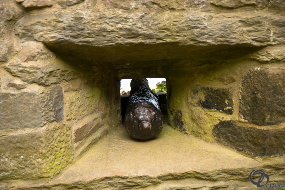 2019-aout-15-DSC08209