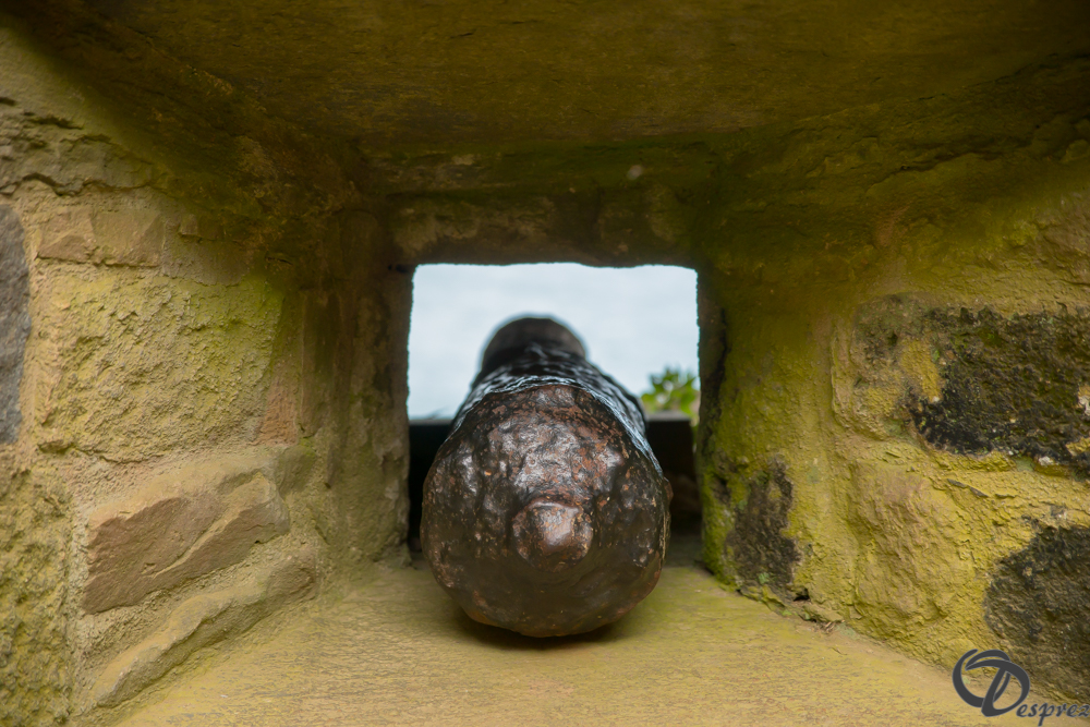 2019-aout-15-DSC08211