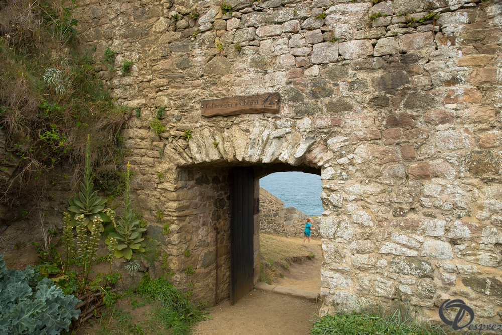 2019-aout-15-DSC08213