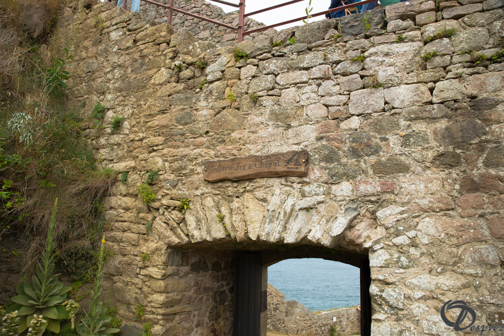 2019-aout-15-DSC08214