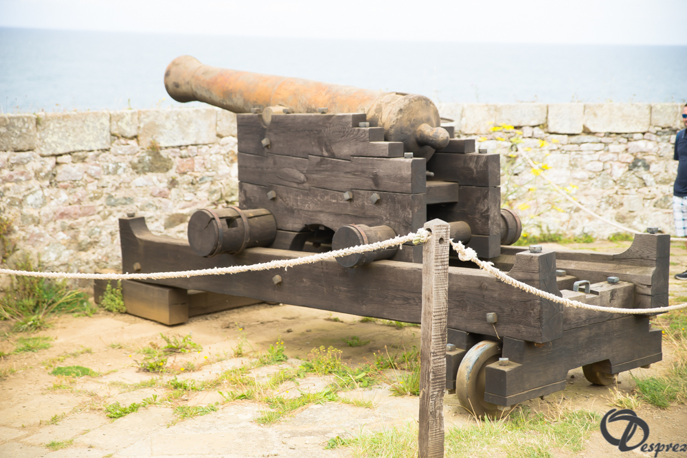 2019-aout-15-DSC08215