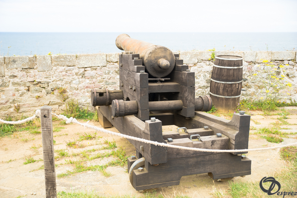 2019-aout-15-DSC08216