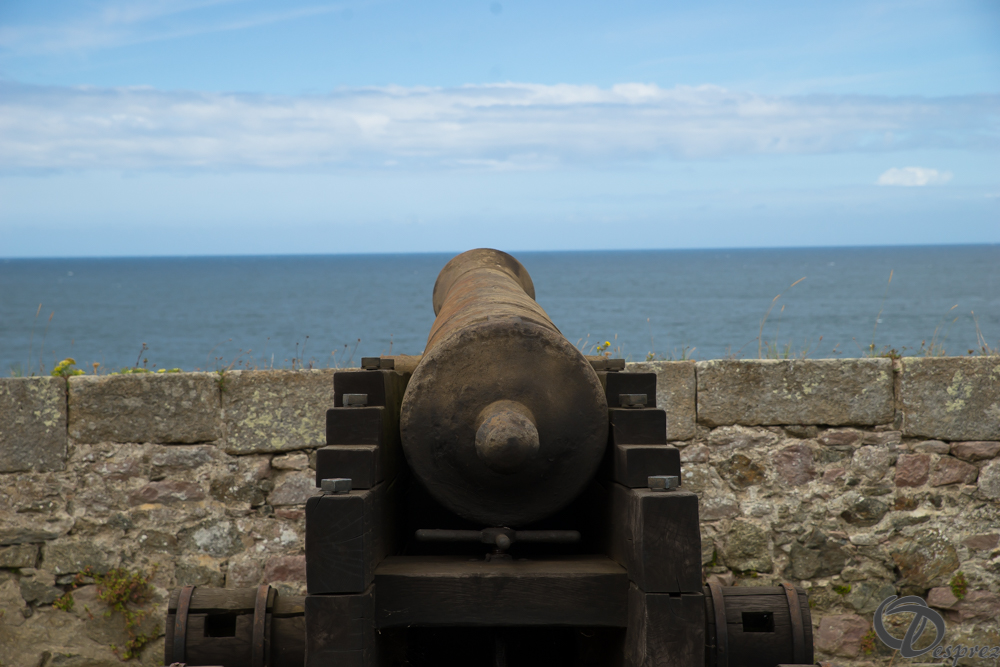 2019-aout-15-DSC08217