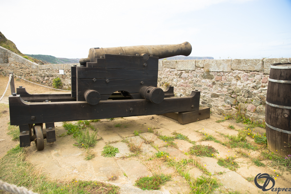 2019-aout-15-DSC08220