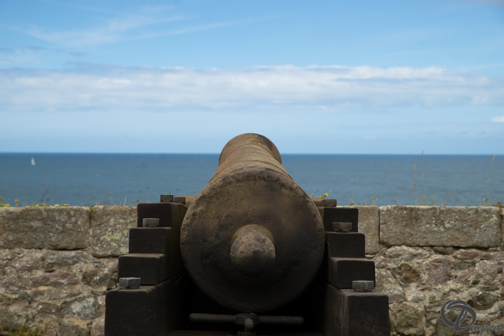 2019-aout-15-DSC08221