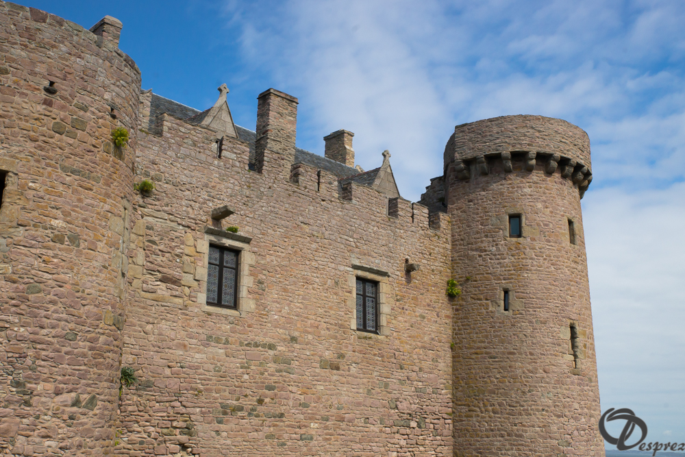 2019-aout-15-DSC08233