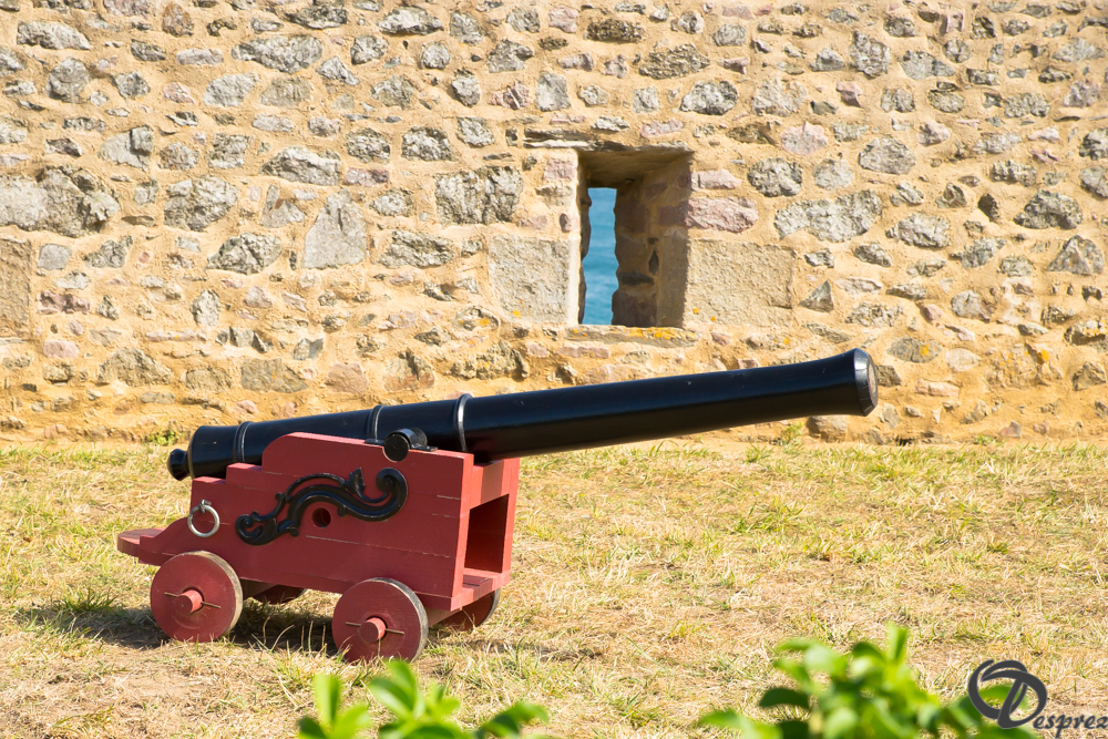 2019-aout-15-DSC08235