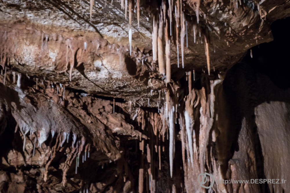 11 aout 2016DSC01044