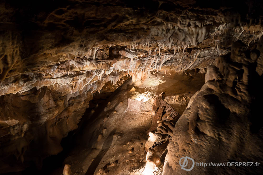 11 aout 2016DSC01047