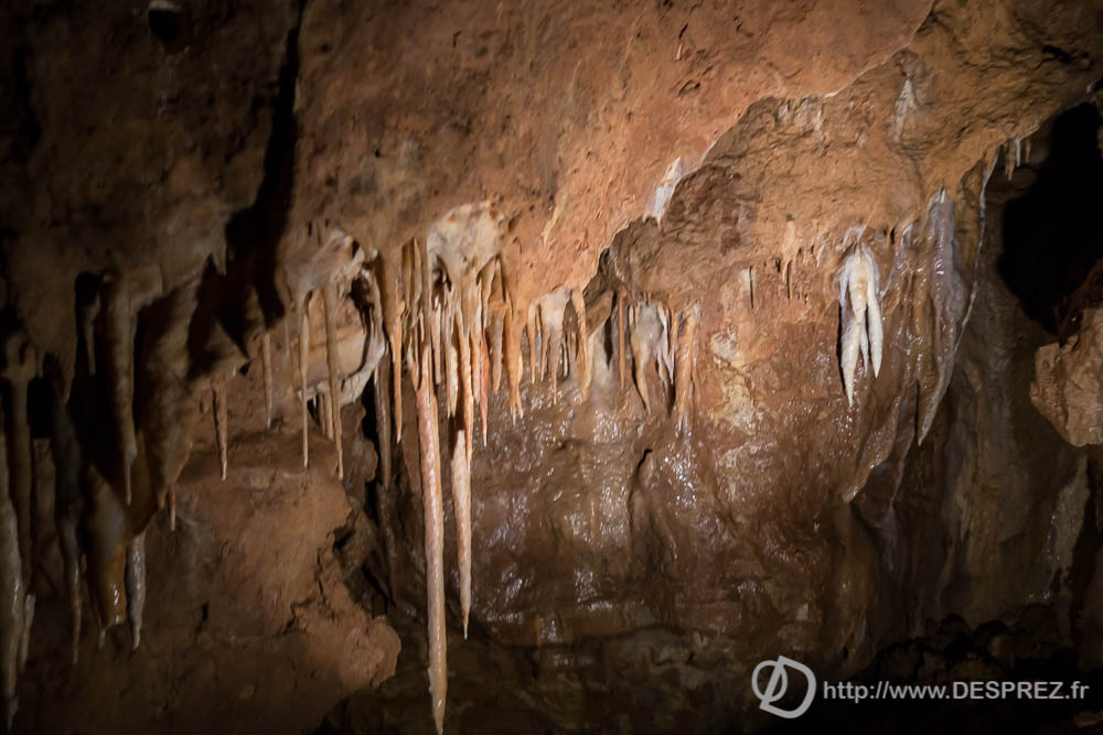 11 aout 2016DSC01051