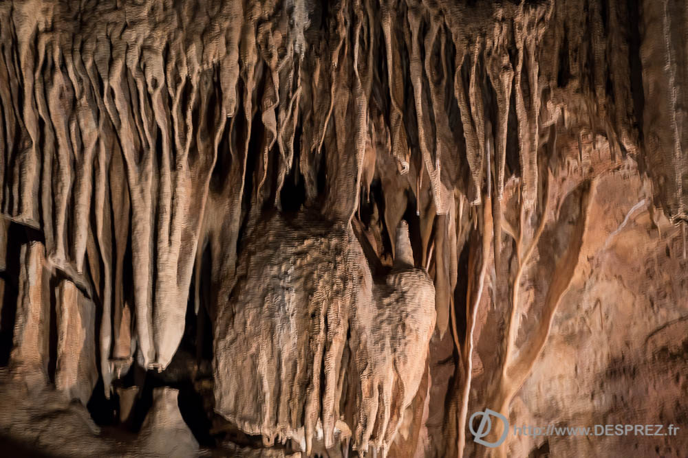 11 aout 2016DSC01056