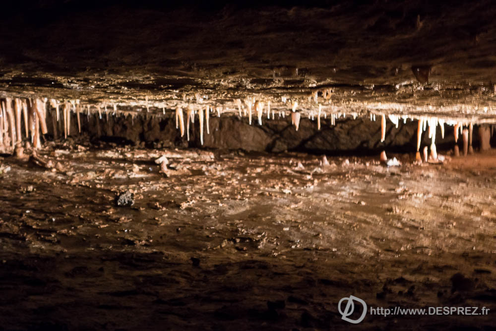 11 aout 2016DSC01059