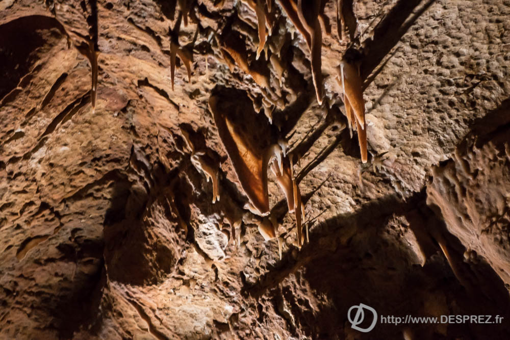 11 aout 2016DSC01063